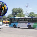 Efecto Milei: Empresas de colectivos recortan servicios por el fuerte incremento del combustible